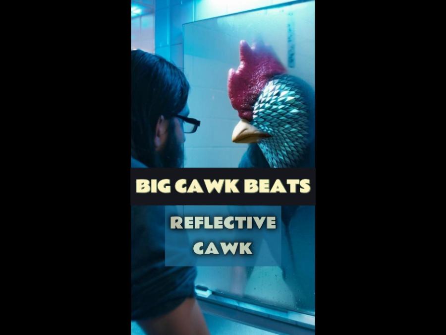 Reflective Cawk